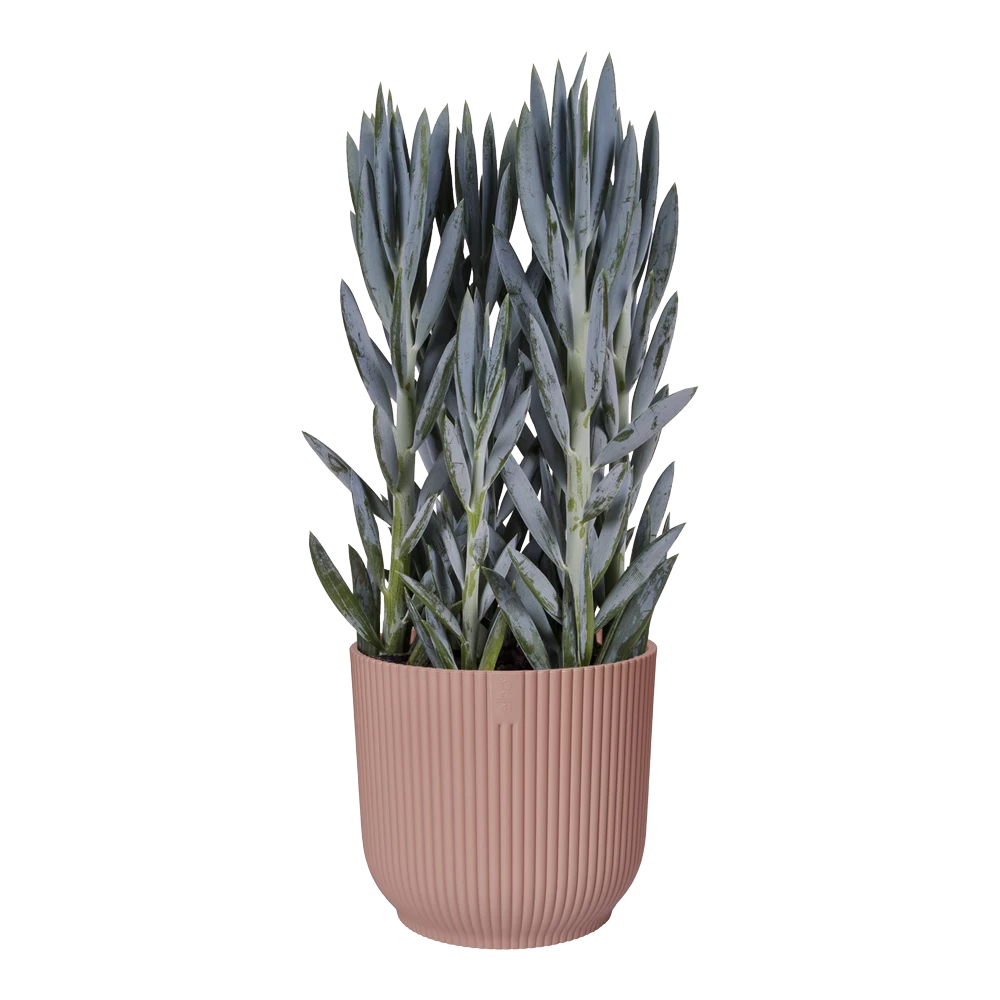 Bloempot Elho Vibes Fold Rond Wielen - D35 X H32cm - Delicaat Roze - Afbeelding 3