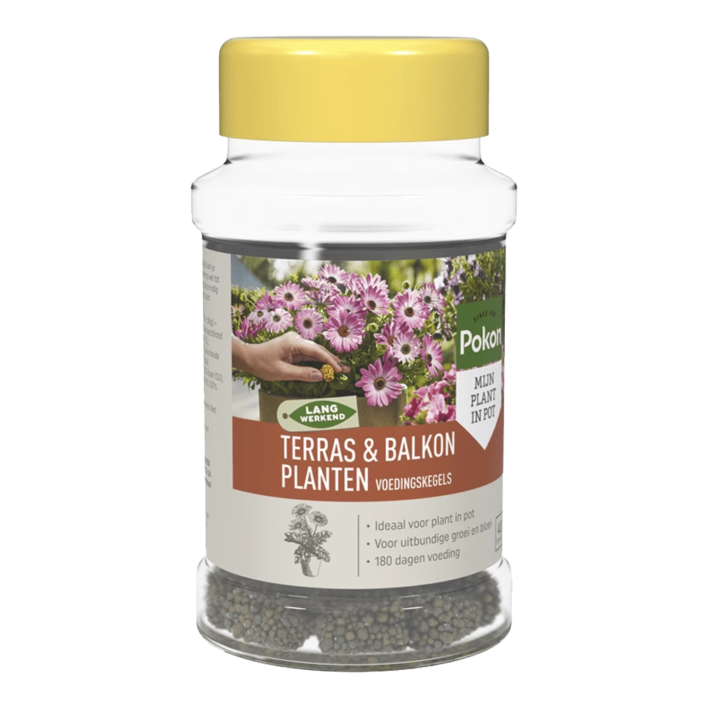 Pokon Terras & Balkon Planten Voedingskegels 40 Stuks - Tuinplanten Voeding